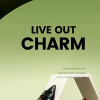 CHCH Women's High Heels 2025 Sharp tip Destiny Closed Toe Strappy Heels Sexy Wedding Bridal Party Dress Shoes 9cm